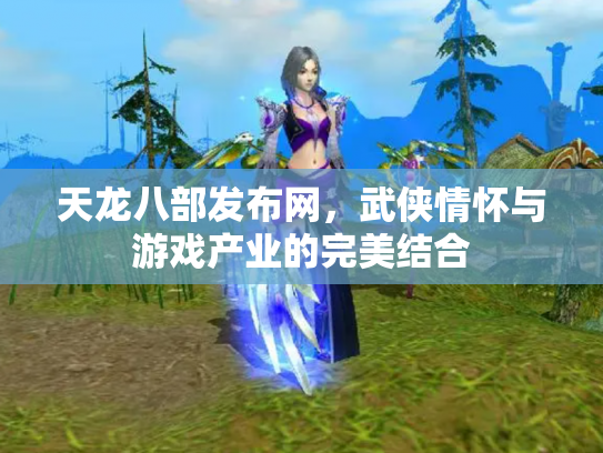 天龙八部发布网，武侠情怀与游戏产业的完美结合