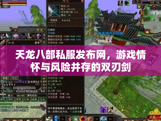 天龙八部私服发布网，游戏情怀与风险并存的双刃剑