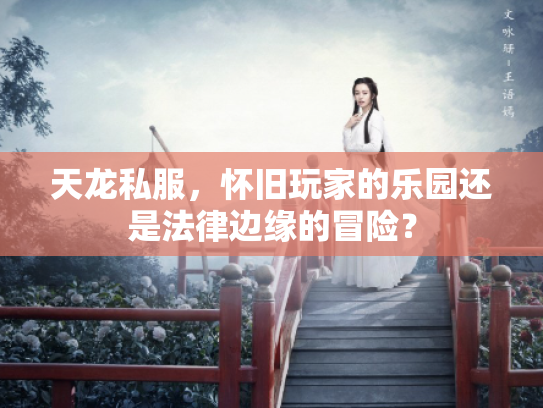 天龙私服，怀旧玩家的乐园还是法律边缘的冒险？