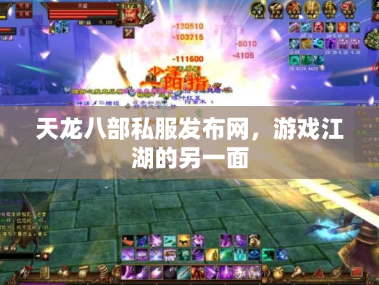 天龙八部私服发布网，游戏江湖的另一面