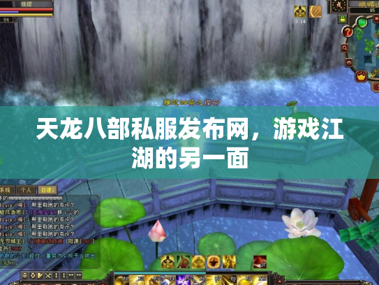 天龙八部私服发布网，游戏江湖的另一面