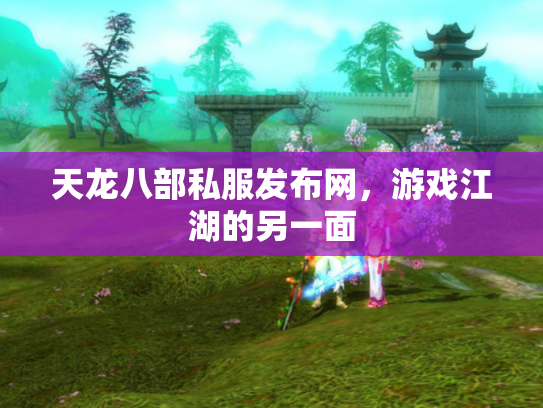 天龙八部私服发布网，游戏江湖的另一面