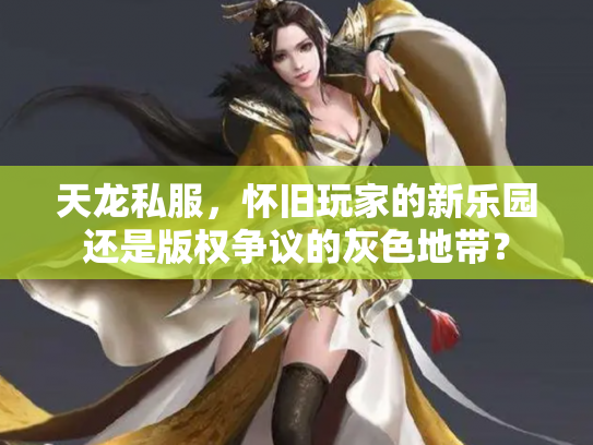 天龙私服，怀旧玩家的新乐园还是版权争议的灰色地带？