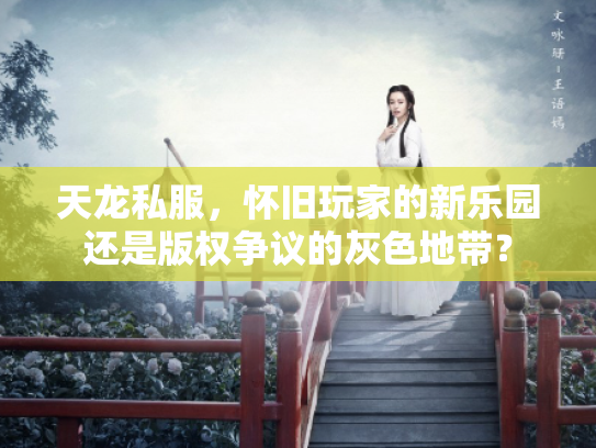 天龙私服，怀旧玩家的新乐园还是版权争议的灰色地带？