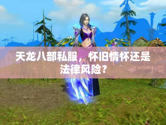 天龙八部私服，怀旧情怀还是法律风险？