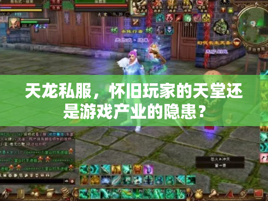 天龙私服，怀旧玩家的天堂还是游戏产业的隐患？