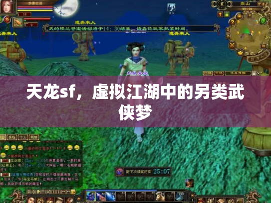 天龙sf，虚拟江湖中的另类武侠梦