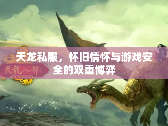 天龙私服，怀旧情怀与游戏安全的双重博弈