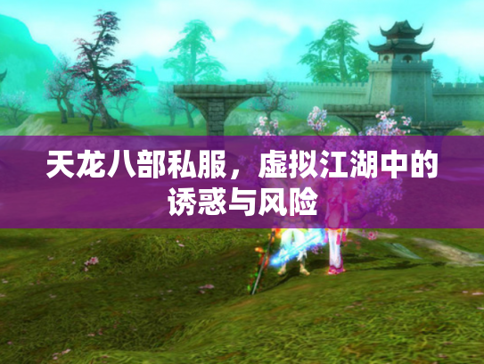 天龙八部私服，虚拟江湖中的诱惑与风险