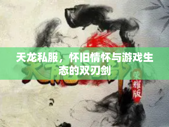 天龙私服，怀旧情怀与游戏生态的双刃剑