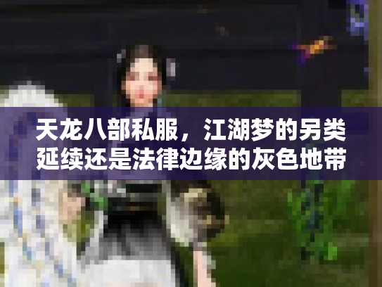 天龙八部私服，江湖梦的另类延续还是法律边缘的灰色地带？