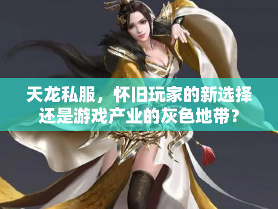 天龙私服，怀旧玩家的新选择还是游戏产业的灰色地带？