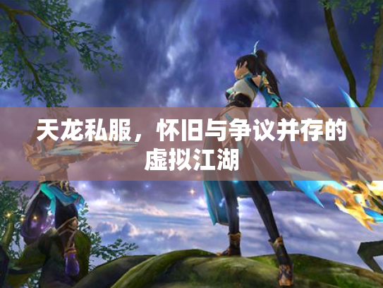 天龙私服，怀旧与争议并存的虚拟江湖