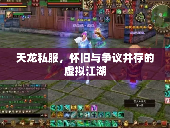 天龙私服，怀旧与争议并存的虚拟江湖