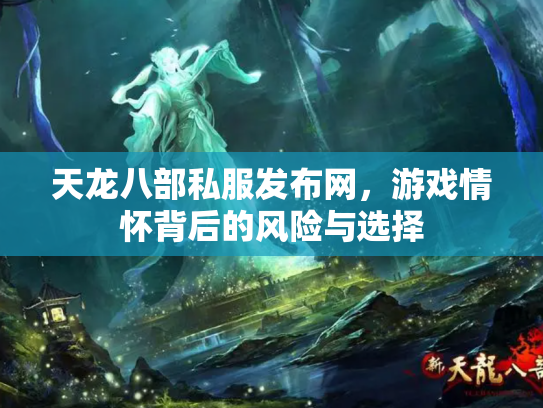 天龙八部私服发布网，游戏情怀背后的风险与选择