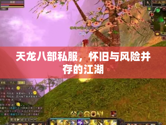 天龙八部私服，怀旧与风险并存的江湖