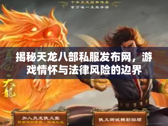 揭秘天龙八部私服发布网，游戏情怀与法律风险的边界