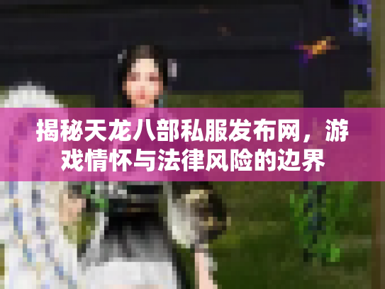 揭秘天龙八部私服发布网，游戏情怀与法律风险的边界