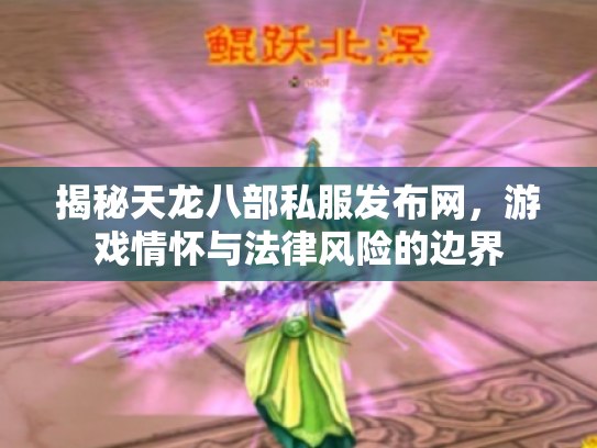 揭秘天龙八部私服发布网，游戏情怀与法律风险的边界