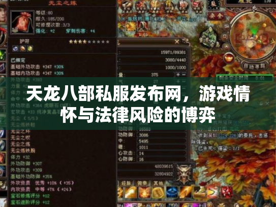 天龙八部私服发布网，游戏情怀与法律风险的博弈