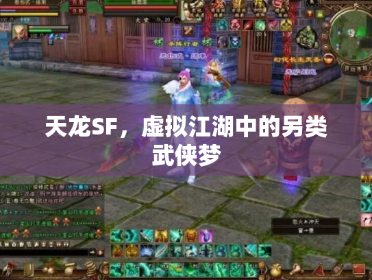 天龙SF，虚拟江湖中的另类武侠梦