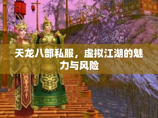 天龙八部私服，虚拟江湖的魅力与风险