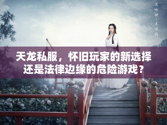 天龙私服，怀旧玩家的新选择还是法律边缘的危险游戏？