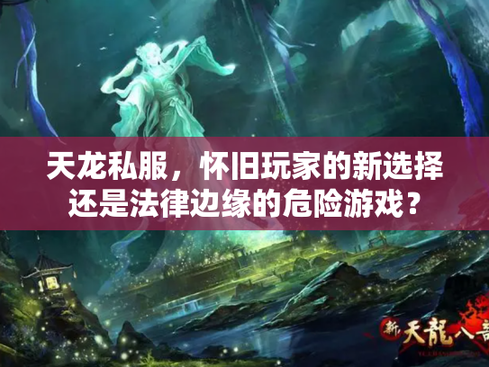 天龙私服，怀旧玩家的新选择还是法律边缘的危险游戏？