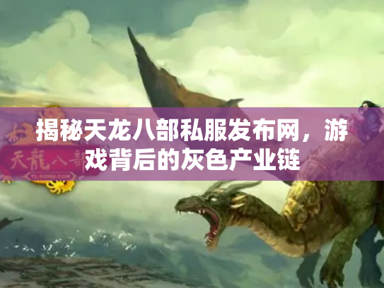 揭秘天龙八部私服发布网，游戏背后的灰色产业链