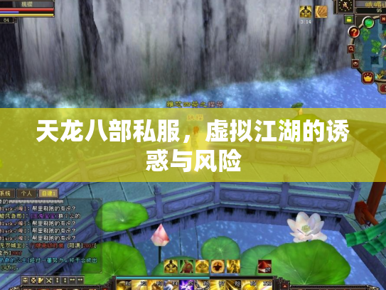天龙八部私服，虚拟江湖的诱惑与风险