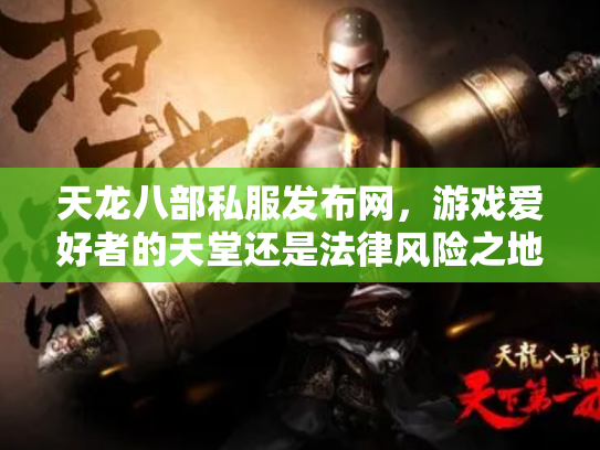 天龙八部私服发布网，游戏爱好者的天堂还是法律风险之地？