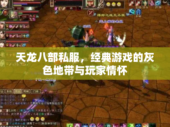 天龙八部私服，经典游戏的灰色地带与玩家情怀