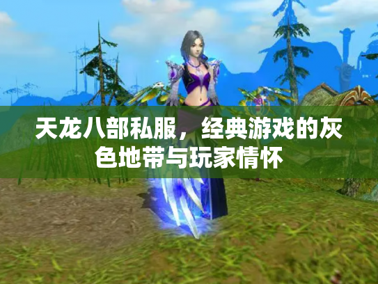 天龙八部私服，经典游戏的灰色地带与玩家情怀