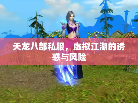 天龙八部私服，虚拟江湖的诱惑与风险