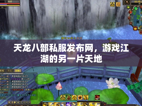 天龙八部私服发布网，游戏江湖的另一片天地