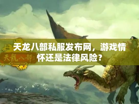 天龙八部私服发布网，游戏情怀还是法律风险？