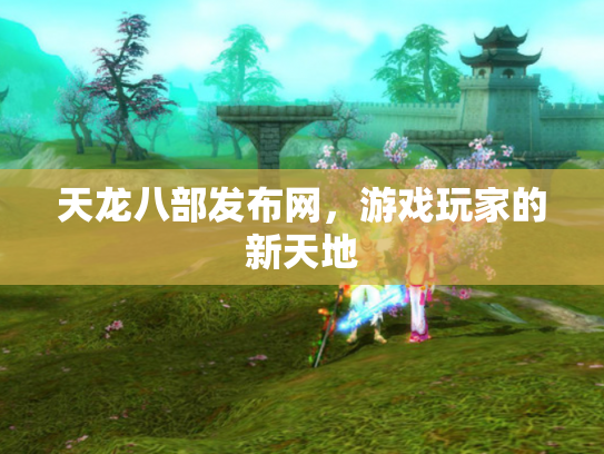 天龙八部发布网，游戏玩家的新天地