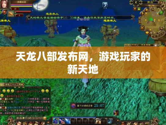 天龙八部发布网，游戏玩家的新天地