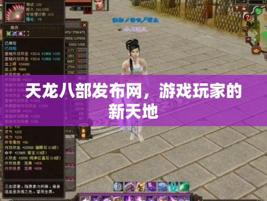 天龙八部发布网，游戏玩家的新天地