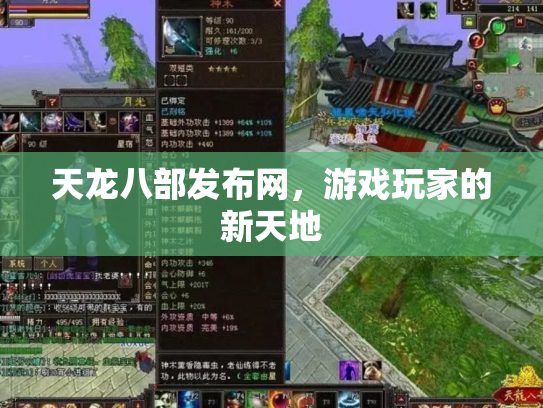 天龙八部发布网，游戏玩家的新天地