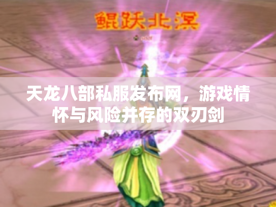 天龙八部私服发布网，游戏情怀与风险并存的双刃剑