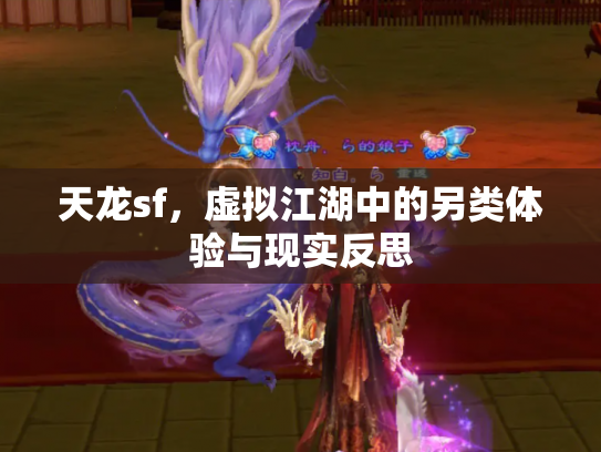 天龙sf，虚拟江湖中的另类体验与现实反思