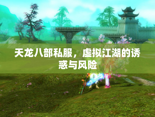 天龙八部私服，虚拟江湖的诱惑与风险