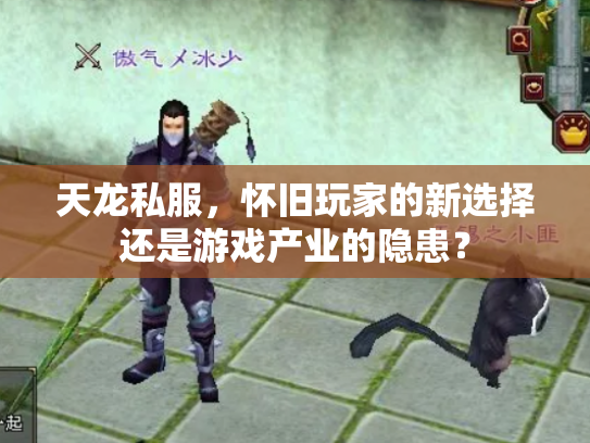 天龙私服，怀旧玩家的新选择还是游戏产业的隐患？