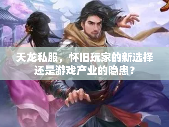 天龙私服，怀旧玩家的新选择还是游戏产业的隐患？