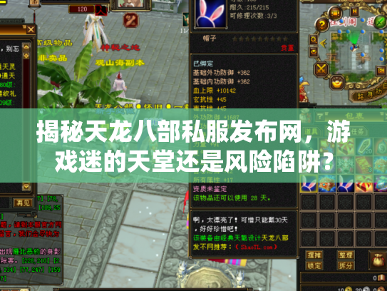 揭秘天龙八部私服发布网，游戏迷的天堂还是风险陷阱？