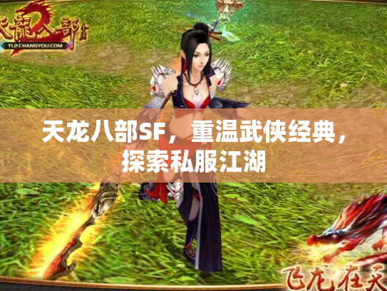 天龙八部SF，重温武侠经典，探索私服江湖