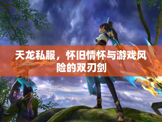 天龙私服，怀旧情怀与游戏风险的双刃剑