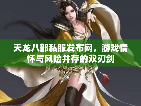 天龙八部私服发布网，游戏情怀与风险并存的双刃剑