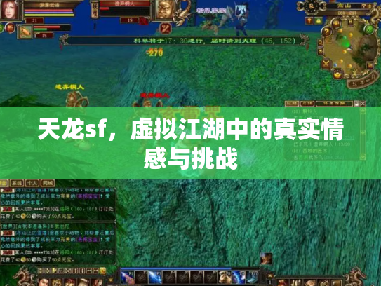 天龙sf，虚拟江湖中的真实情感与挑战